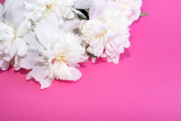 Gyönyörű fehér bazsarózsa. Rózsaszín alapon permetezett bazsarózsa csokor. Fénymásolási hely - Fotó, kép