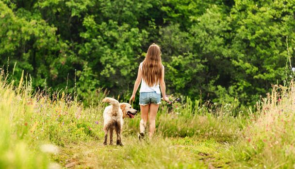 Girl walking dog in summer nature - Fotó, kép