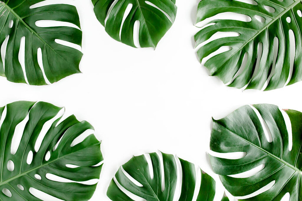 Tropical palm leaves Monstera on white background. Flat lay, top view. - Photo, Image