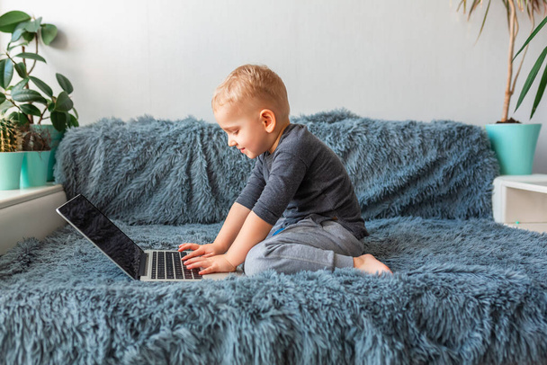Little baby boy playing on laptop on sofa at home. E-learning, distance studying, distance communication concept - Φωτογραφία, εικόνα