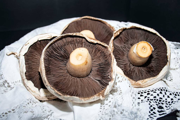 Grote portobello champignons donkere achtergrond witte kant doek  - Foto, afbeelding