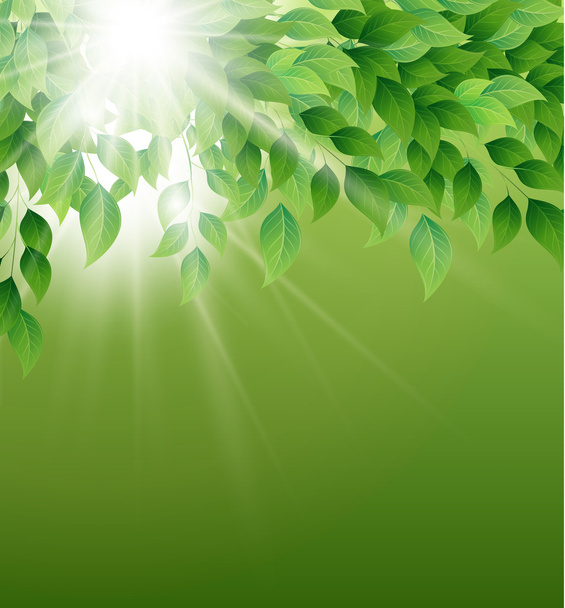 Natural background - Vector, Image