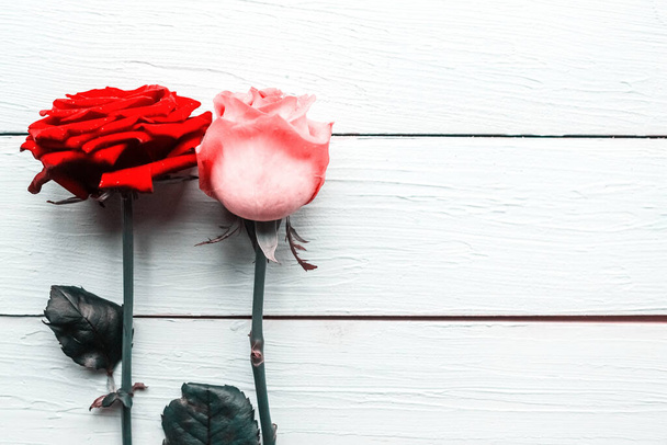 Blooming red and pink roses isolated on wooden background, copy space - Fotografie, Obrázek