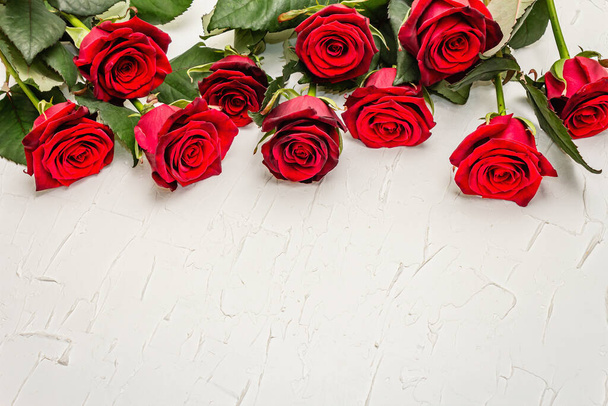Čerstvé burgundské růže na bílém tmelnatém pozadí. Vůně červené květy, koncept dárku na Valentýna, svatba nebo narozeniny - Fotografie, Obrázek