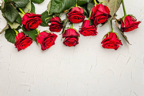 Rosas frescas borgoña sobre un fondo de masilla blanca. Flores rojas fragantes, concepto de regalo para el día de San Valentín, boda o cumpleaños - Foto, Imagen