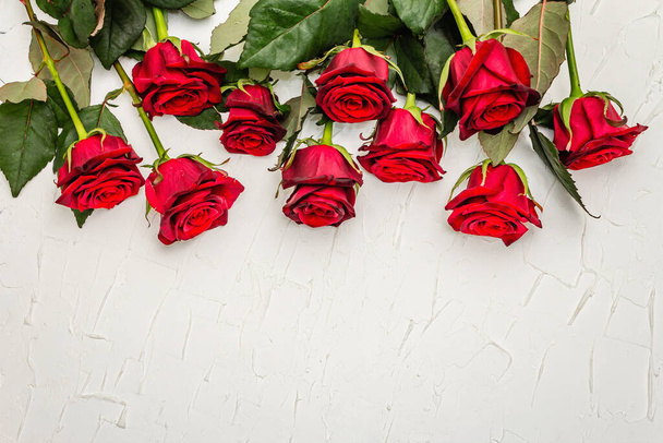 Fresh burgundy roses on a white putty background. Fragrant red flowers, gift concept for Valentine's Day, Wedding or Birthday - Photo, Image