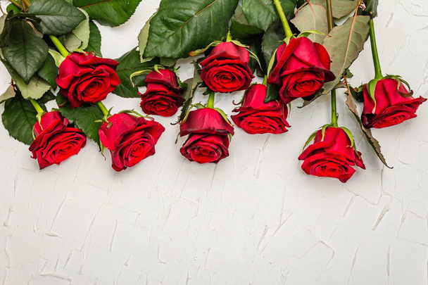 Fresh burgundy roses on a white putty background. Fragrant red flowers, gift concept for Valentine's Day, Wedding or Birthday - Photo, Image