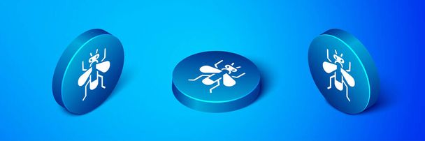 Isometrisches Insektensymbol isoliert auf blauem Hintergrund. Blauer Kreis-Knopf. Vektor. - Vektor, Bild