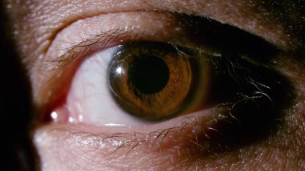Primer plano de vídeo de ojo marrón masculino con pupila dilatadora - Imágenes, Vídeo