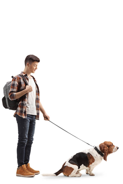 Full length shot of a male student with a basset hound on a lead isolated on white background - Foto, Imagem