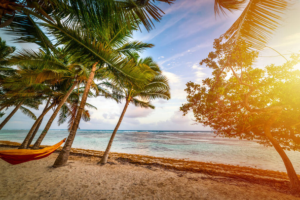 Rede amarrada a palmeiras na praia de Bois Jolan ao pôr-do-sol. Guadalupe, mar das Caraíbas - Foto, Imagem