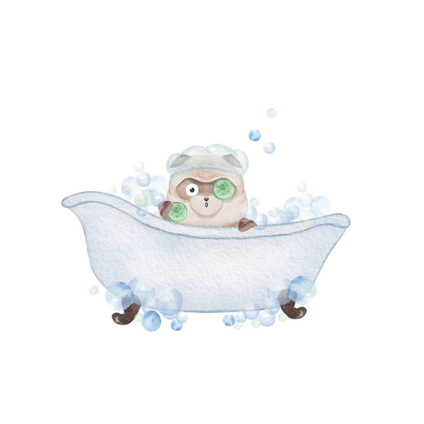Пуг приймає ванну. Ручна намальована акварельна ілюстрація
 - Фото, зображення