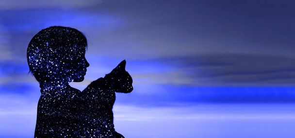 Silueta de una adolescente sosteniendo un gato sobre el fondo azul del cielo. Propietario y mascota. - Foto, imagen
