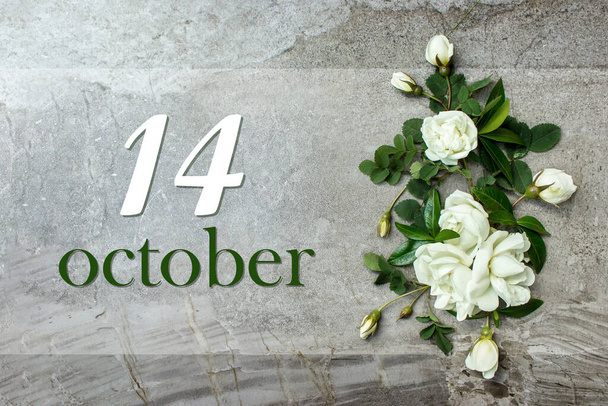 October 14th. Day 14 of month, Calendar date. Stylish roses flat lay. White roses border on pastel grey background with calendar date. Autumn month, day of the year concept - Zdjęcie, obraz