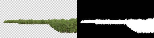 Дикие деревья изолированы на сером фоне. 3D рендеринг - иллюстрация - Фото, изображение