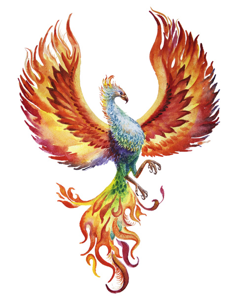 Phoenix bird watercolor illustration on white background - Foto, Imagem