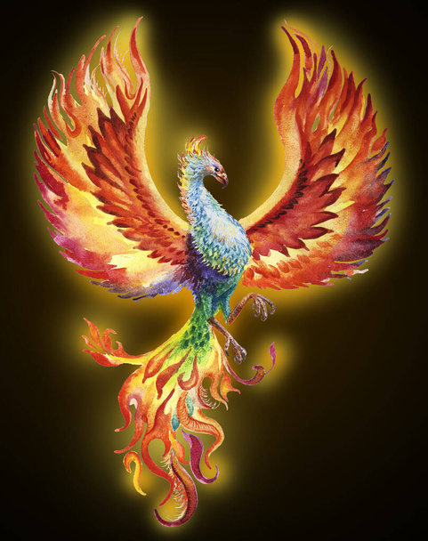 Phoenix madár akvarell illusztráció sötét háttér - Fotó, kép