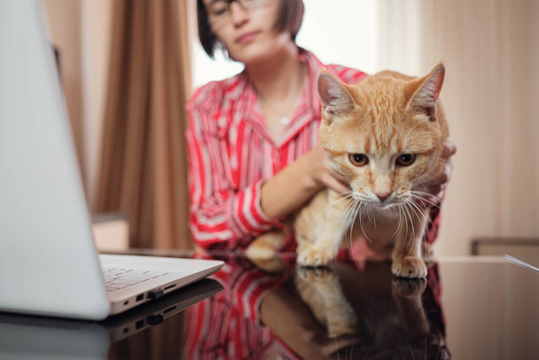 business woman in a red shirt with a ginger cat is sitting at a table in the home office and looking at an open laptop. A woman communicates via video conference while the cat is on the table - 写真・画像