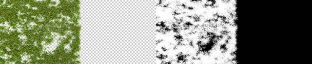Поле дикої трави з гори ізольовано на фоні маски. 3d візуалізація - ілюстрація
 - Фото, зображення