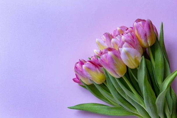 Pink and yellow tulip bouquet top view - Foto, imagen