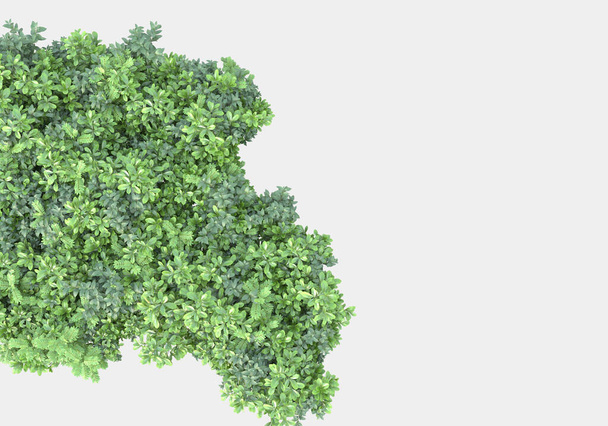 Остров травы изолирован на сером фоне. 3D рендеринг - иллюстрация - Фото, изображение