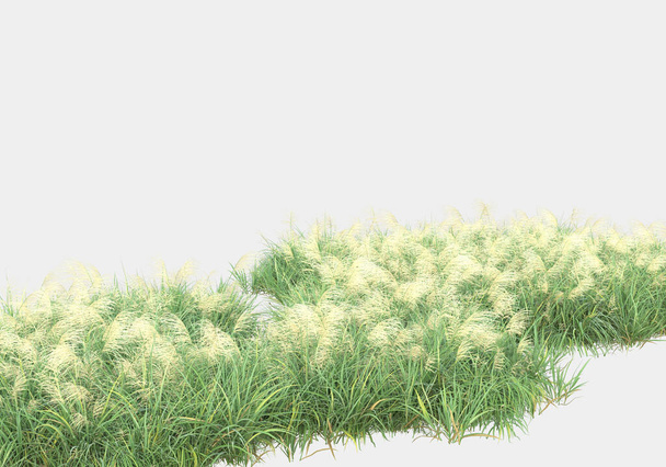 Isla de hierba aislada sobre fondo gris. representación 3d - ilustración - Foto, imagen