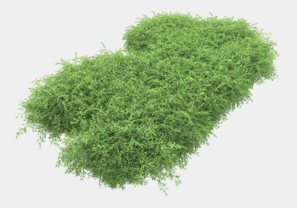 Поле травы с цветами изолировано на сером фоне. 3D рендеринг - иллюстрация - Фото, изображение