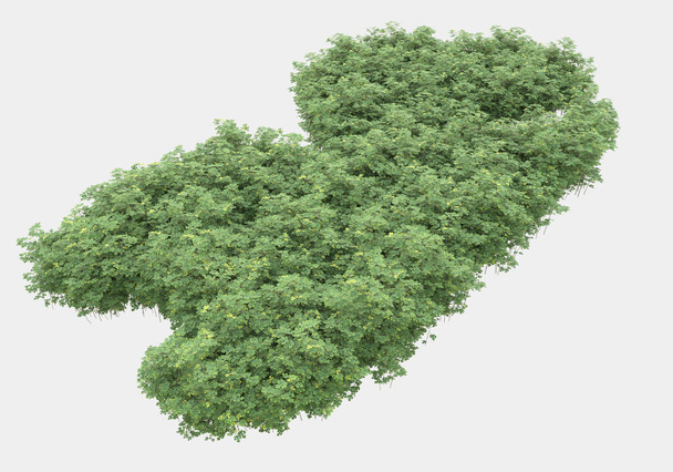 Wildes Gras und Rasen vereinzelt auf grauem Hintergrund. 3D-Darstellung - Illustration - Foto, Bild