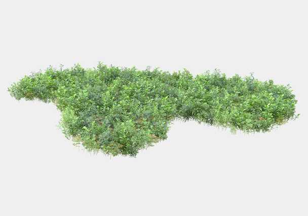 Wild grass and turf isolated on grey background. 3d rendering - illustration - Photo, Image