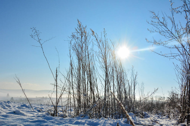 Zon schijnt achter hoog gras in de winter met veel sneeuw in de natuur vanuit Spessart, Beieren, Duitsland, met ochtendmist in het dal - Foto, afbeelding