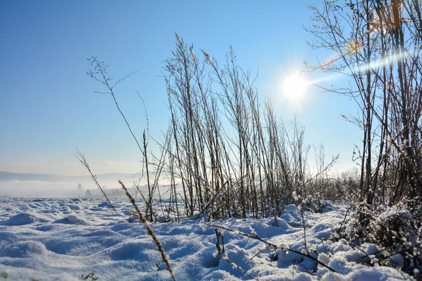 Ο ήλιος λάμπει πίσω από ψηλό γρασίδι το χειμώνα με πολύ χιόνι στη φύση από Spessart, Βαυαρία, Γερμανία, με πρωινή ομίχλη στην κοιλάδα - Φωτογραφία, εικόνα