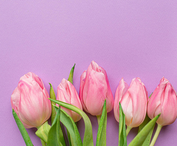 5 tulipanes rosados tiernos en la parte inferior de fondo violeta pastel. Tarjeta de felicitación para el Día de la Mujer. Acostado. Copiar espacio. Concepto de Día Internacional de la Mujer, Día de la Madre, Pascua. San Valentín amor día - Foto, imagen