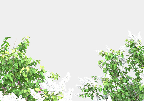 Wildes Gras mit Blumen auf grauem Hintergrund. 3D-Darstellung - Illustration - Foto, Bild