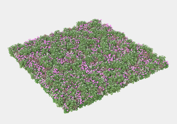 Dzika trawa z kwiatami na szarym tle. 3d renderowanie - ilustracja - Zdjęcie, obraz