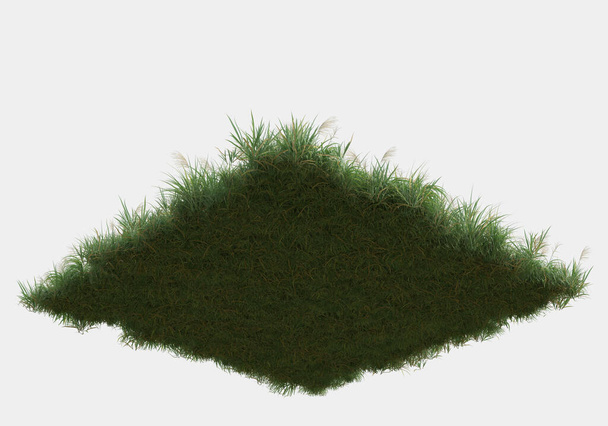 Divoká tráva s květy izolované na šedém pozadí. 3D vykreslování - ilustrace - Fotografie, Obrázek