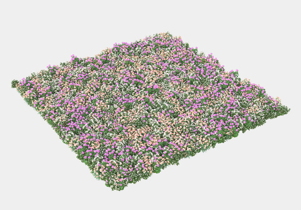 Wilde struik met bloemen geïsoleerd op grijze achtergrond. 3d weergave - illustratie - Foto, afbeelding