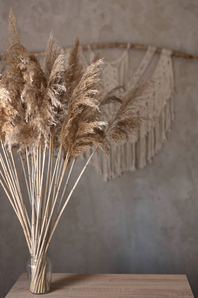 bouquet of reed plant on the background of a gray concrete wall with handmade macrame - Photo, Image