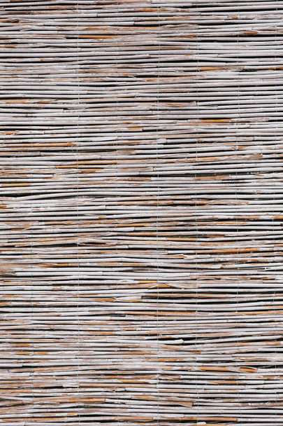 Tallos de bambú de cerca. La textura del bambú pintado blanco seco. Cortinas y una cerca hecha de troncos de bambú. - Foto, Imagen