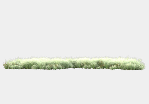 Plantes décoratives de parc et de jardin isolées sur fond gris. rendu 3d - illustration - Photo, image