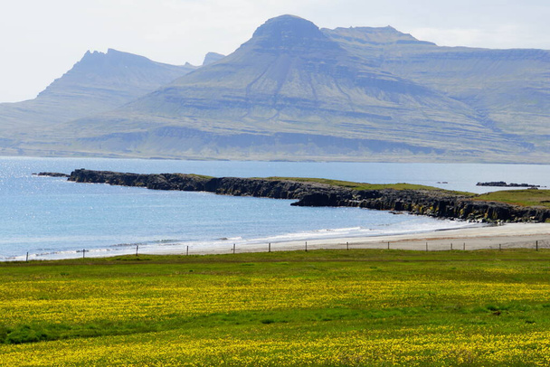 The view of green landscape, rock formations and cliffs by the ocean near East Fjords, Iceland in the summer - Photo, Image