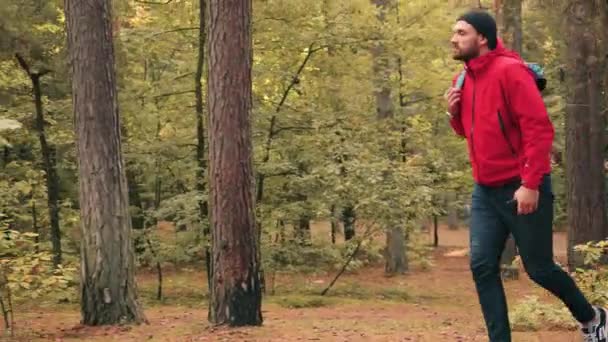 Молодой кавказский турист в красной куртке с голубым рюкзаком гуляет один в лесу и смотрит на природу вокруг. - Кадры, видео