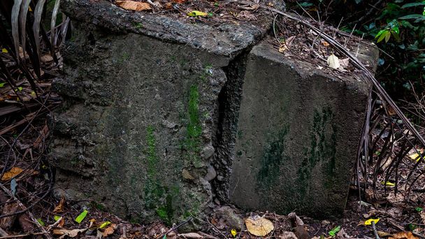 Un bloque sólido de hormigón arrojado en el bosque, ahora recogiendo musgo y desintegrándose lentamente - Foto, Imagen