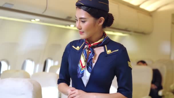 Equipaggio di cabina o hostess di volo che lavora in aereo - Filmati, video