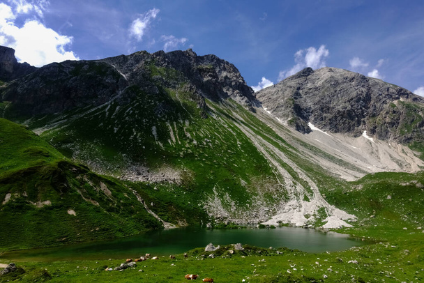 meraviglioso lago di montagna su un'alta montagna verde in estate  - Foto, immagini