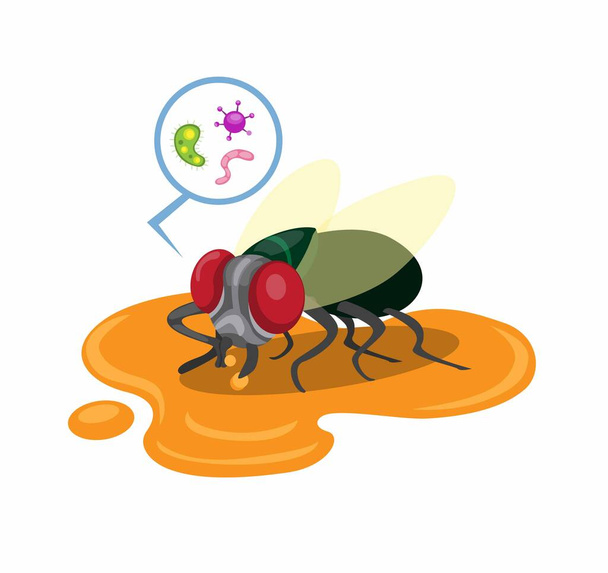 le mosche atterrano su scarti alimentari sul pavimento con batteri, insetto sporco nel vettore illustrazione piatta del fumetto isolato su sfondo bianco - Vettoriali, immagini