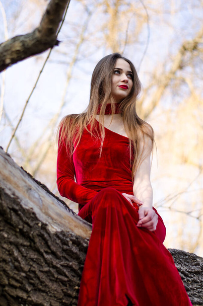 Schönheit vertikal Porträt. Das Bild einer sinnlichen Dame mit erhöhtem und durchtrainiertem Körper sitzt in einem roten Kleid auf einem umgestürzten Baum. - Foto, Bild