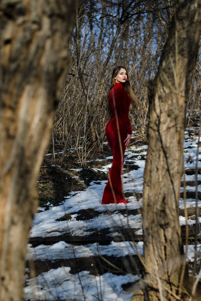 Schönheit vertikal Porträt. Das Bild einer sinnlichen Dame mit erhabenem und durchtrainiertem Körper in einem roten Kleid posiert zwischen zwei Bäumen. - Foto, Bild