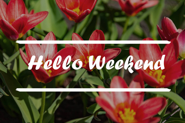 Motivational quote or positive quote - Hello Weekend - Φωτογραφία, εικόνα