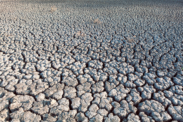 Сухое дно озера, треснувшая грязь - Фото, изображение