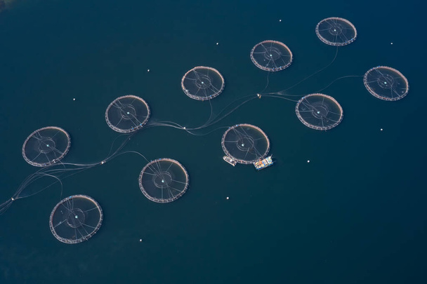 Рыбная ферма Лосось круглые сети в естественной среде Остров Скай Шотландия - Фото, изображение